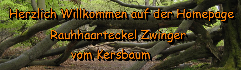 Kontakt - vomkersbaum.de